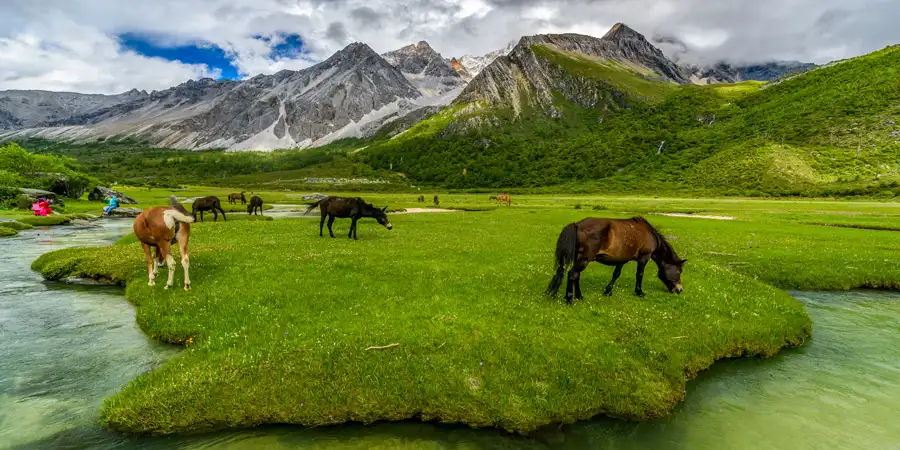 Srinagar Group Tour with Sonmarg & Pahalgam, 1752841798_361438-Glmrg.webp