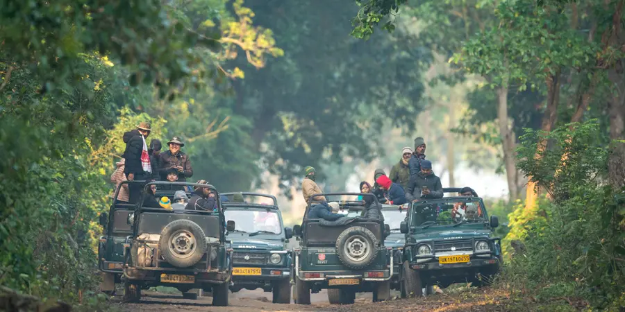 Jim Corbett Student Group Tour Package (30/150 Pax), 1753859958_870095-Jim-Img.webp
