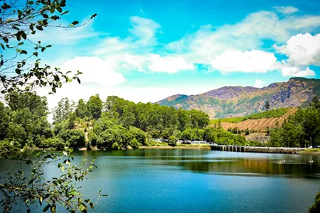 Munnar Kodaikanal Ooty Coimbatore Hill Station Tour – 7N/8D, 1761376978_383735-Munnar-Kodaikanal-Ooty-Coimbatore-Hill-Station-Tour-inside.webp