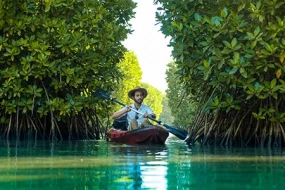 Munnar Thekkady Alleppey Tour Package