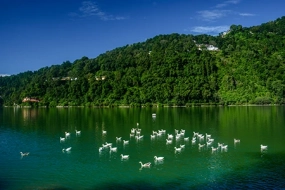 Nainital MICE Tour: Business Meet & Leisure (50–150 pax)