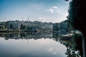 Darjeeling MICE Package: Tea, Team & Tranquility (50–150 pax)