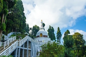 Darjeeling Group Tour with Classmates (50–150 Pax)